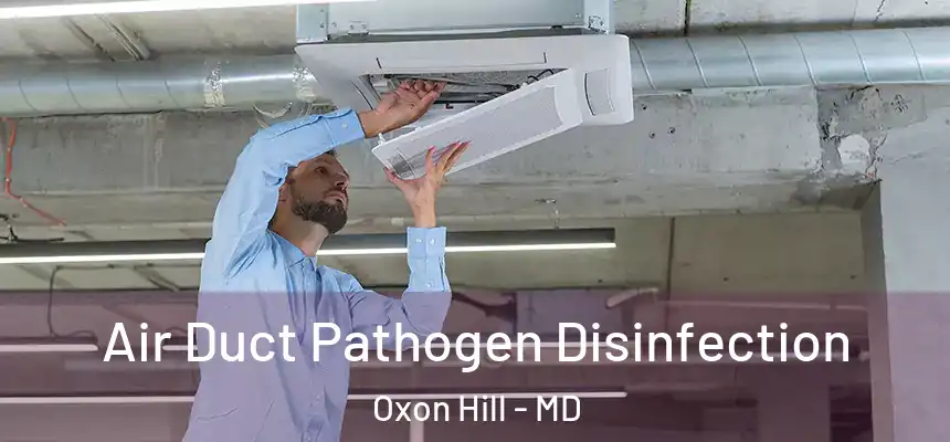  Air Duct Pathogen Disinfection Oxon Hill - MD