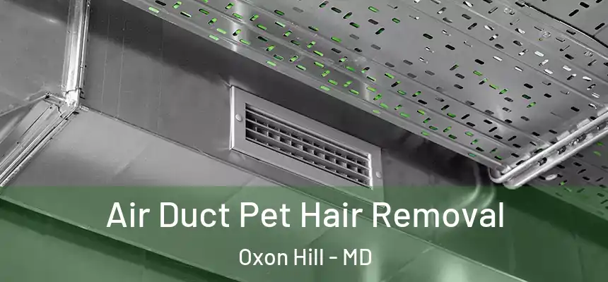  Air Duct Pet Hair Removal Oxon Hill - MD