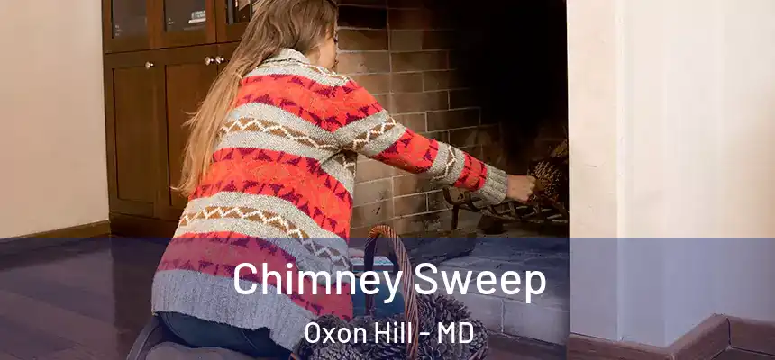  Chimney Sweep Oxon Hill - MD