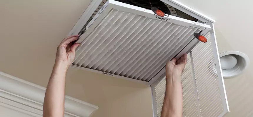 Preventive Cockroach-Proofing for Ducts in Oxon Hill