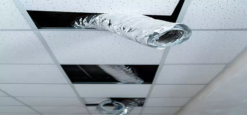 Affordable HVAC Sanitizing After Pest Removal in Oxon Hill