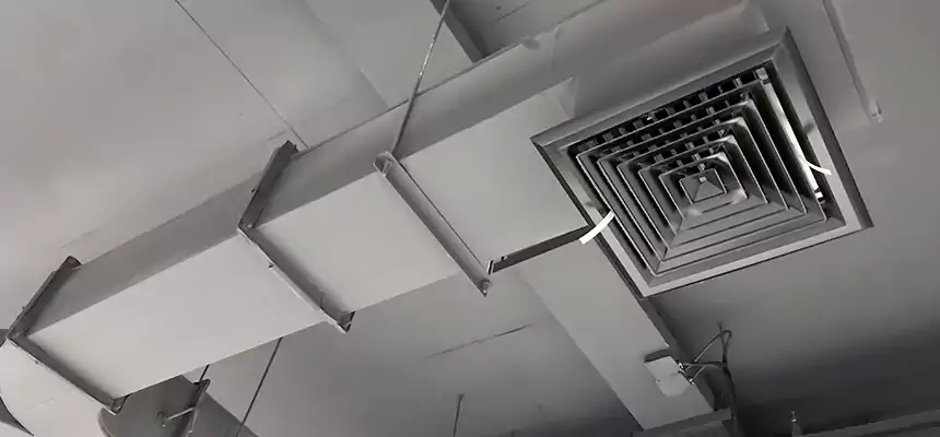 Restorative Allergy Relief Vent Cleaning – Coil, Blower & Housing Detail in Oxon Hill