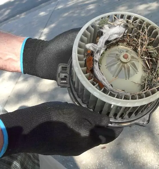 About Air Duct Rat Removal in Oxon Hill, MD