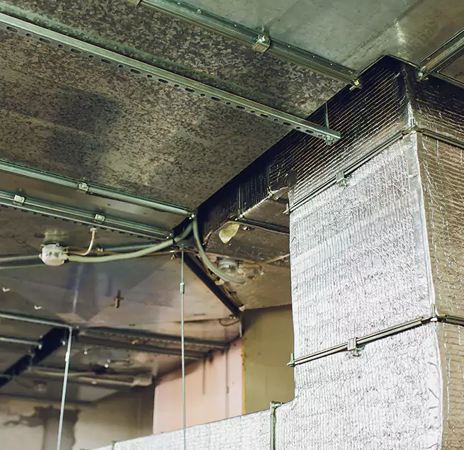 Why Homeowners & Businesses Trust Us in Oxon Hill, MD?